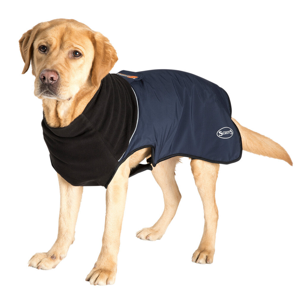 Scruffs Thermal Coat Bleu