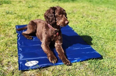 Cooling Mat Scruffs