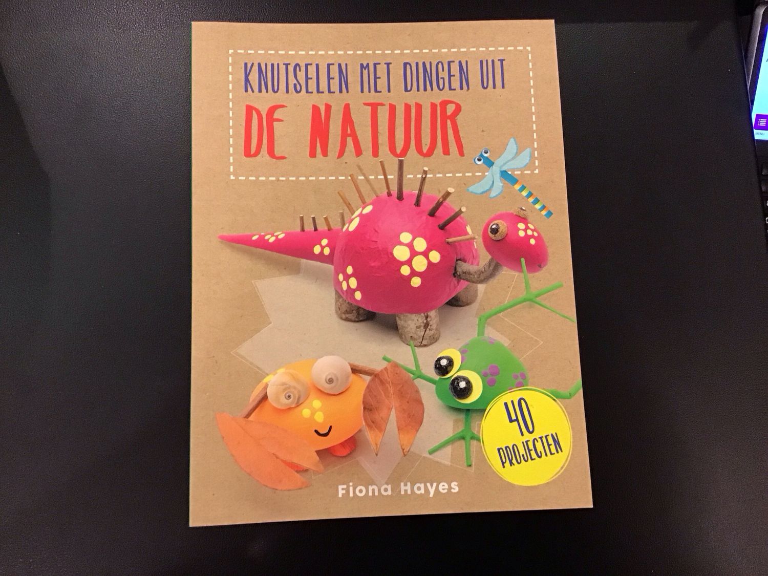 Knutselen met dingen uit de natuur