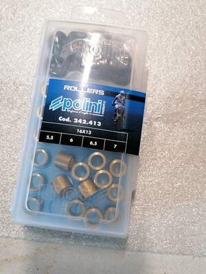 Rollenset polini 5.5gr - 6gr-6.5gr-7gr (Scoot vario)