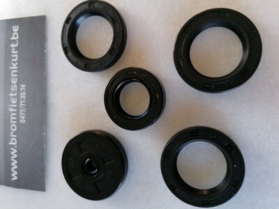 Keerring set (5 delig)