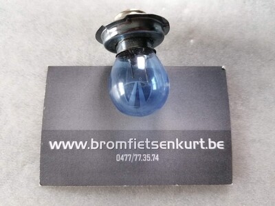 Lampje 12V 15W  (blauw)