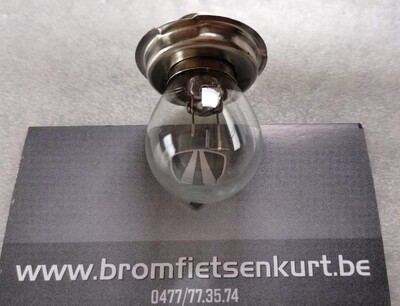 Lampje 12V 20W (kraag)
