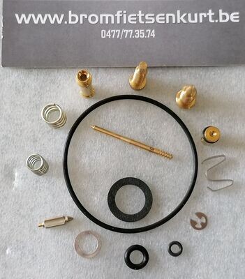 Revisiesetje Carburator (15-delig)