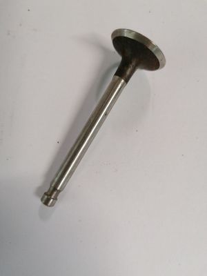 Inlaatklep ss50 (origeneel)