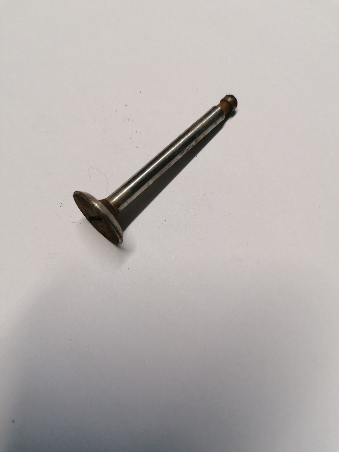 Uitlaatklep c100