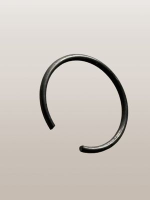 Cerclips (origineel)