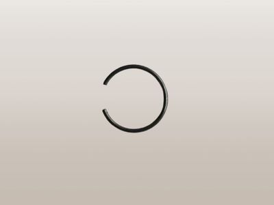 Cerclips (origineel)