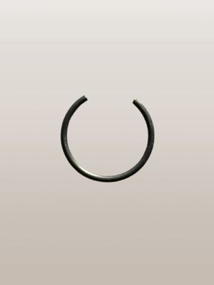 Cerclips (origineel)