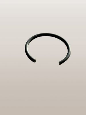 Cerclips (origineel)