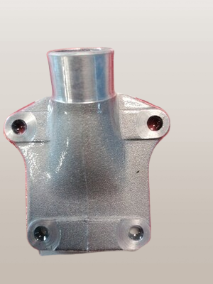 Malossi manifold