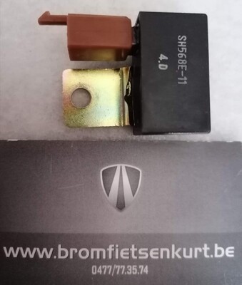 Regulator (origineel )