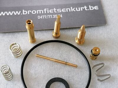 Revisiesetje Carburator (15-delig)
