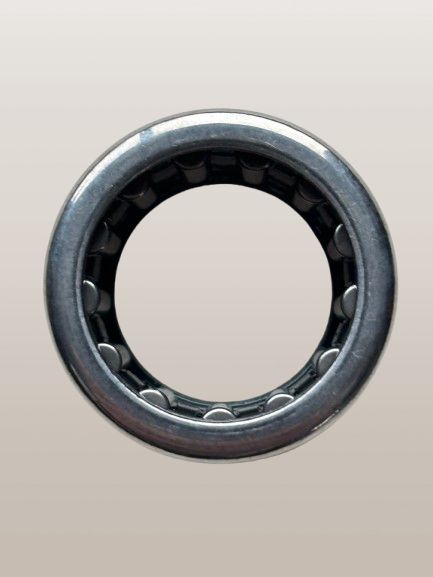 Naaldlager achtervario