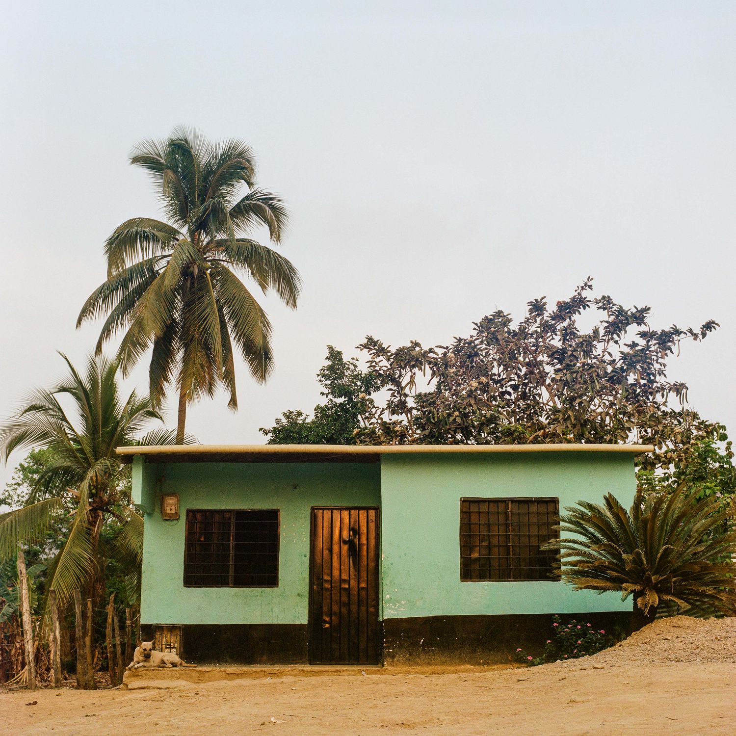 CASA DE PALOMINO | COLUMBIA