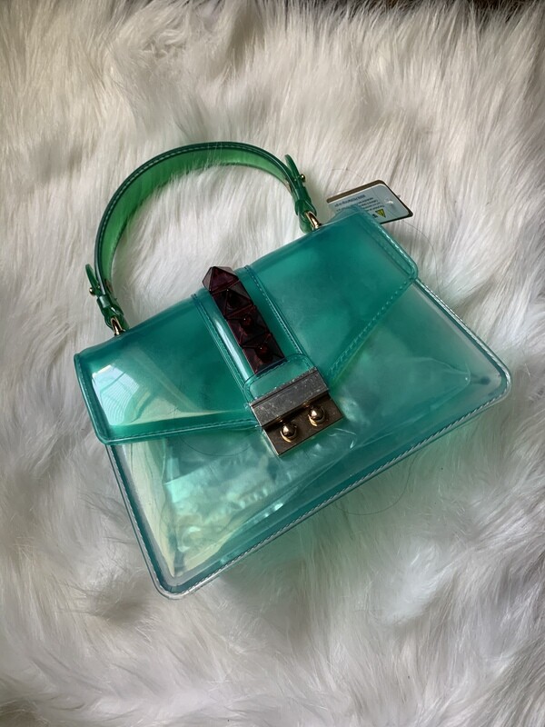Pretty Clear Purse
