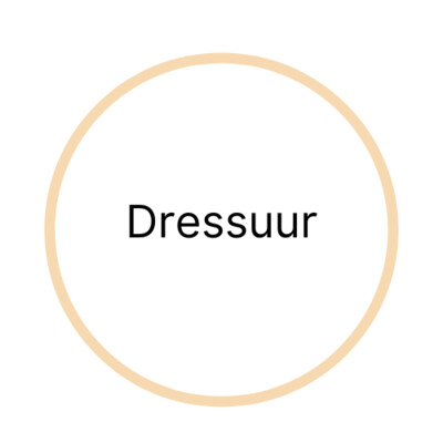 Dressuur