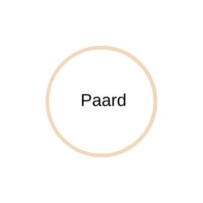 Paard