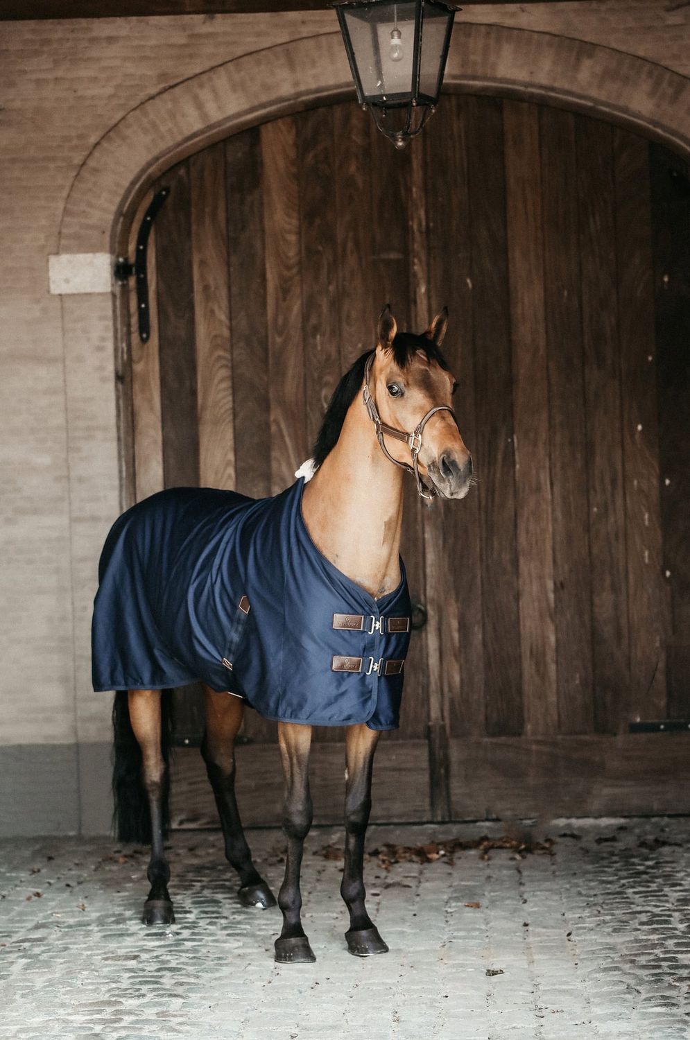 Kentucky cotton sheet katoentje blauw 6.3 / 191