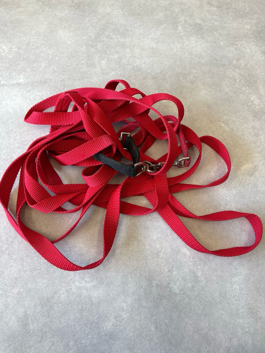 Longeerlijn nylon rood