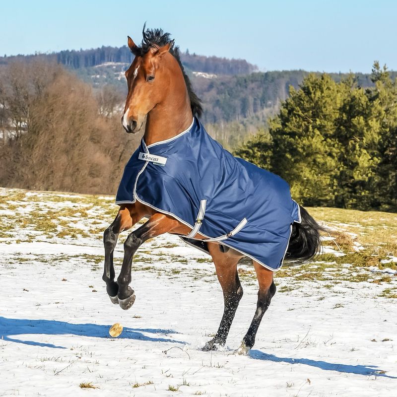 Bucas freedom turnout blauw 300g 85 Bucas freedom turnout blauw 300g 85
