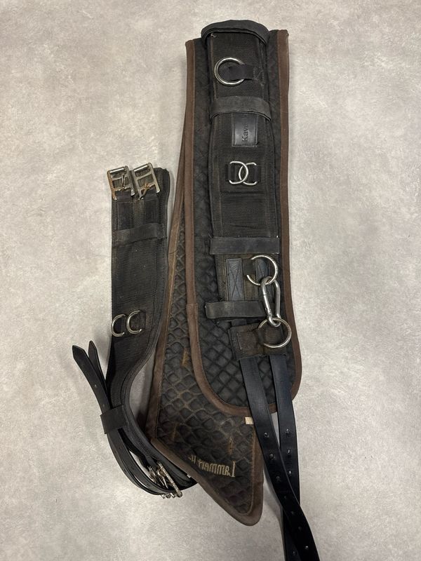 Kavalkade longeersingel met Lammert Haanstra onderlegger full Kavalkade longeersingel met Lammert Haanstra onderlegger full