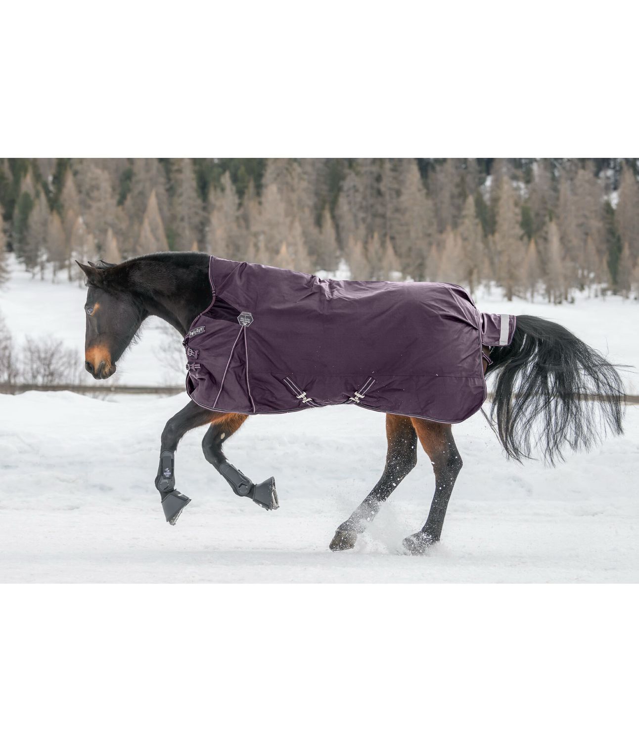 Felix buhler regendeken 0g 185