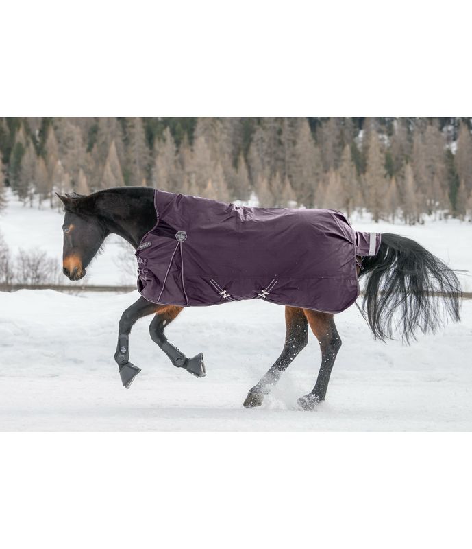 Felix buhler regendeken 50g paars 185 Felix buhler regendeken 50g paars 185