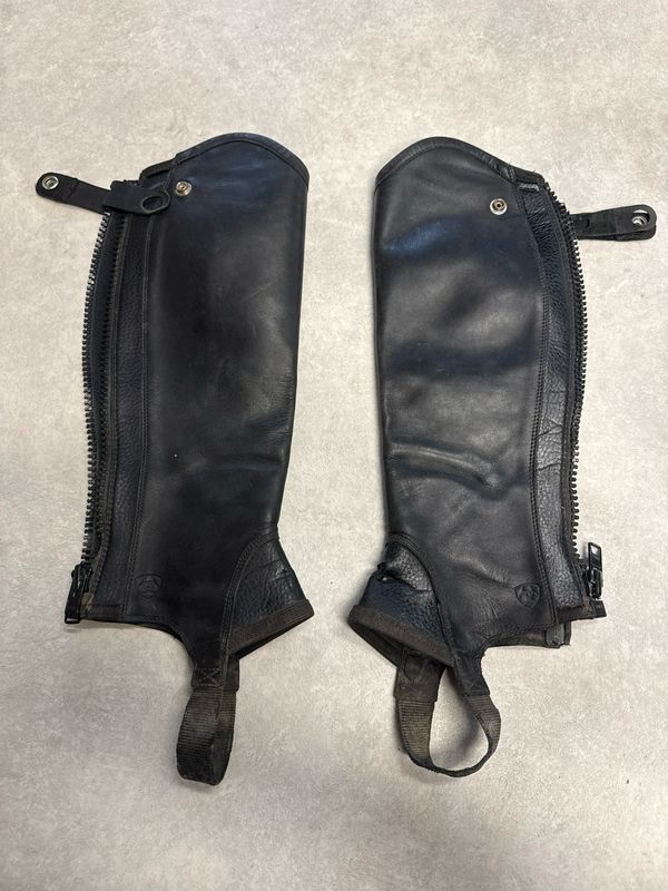 Ariat Concorde chaps zwart Ariat Concorde chaps zwart