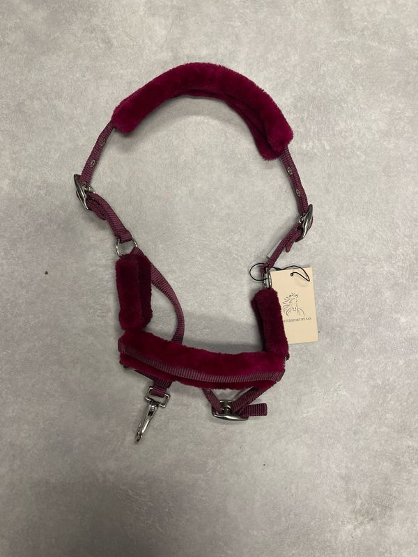 Halster rood paars veulen