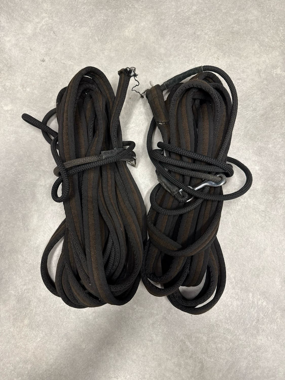 Lammert Haanstra dubbele longeerlijn