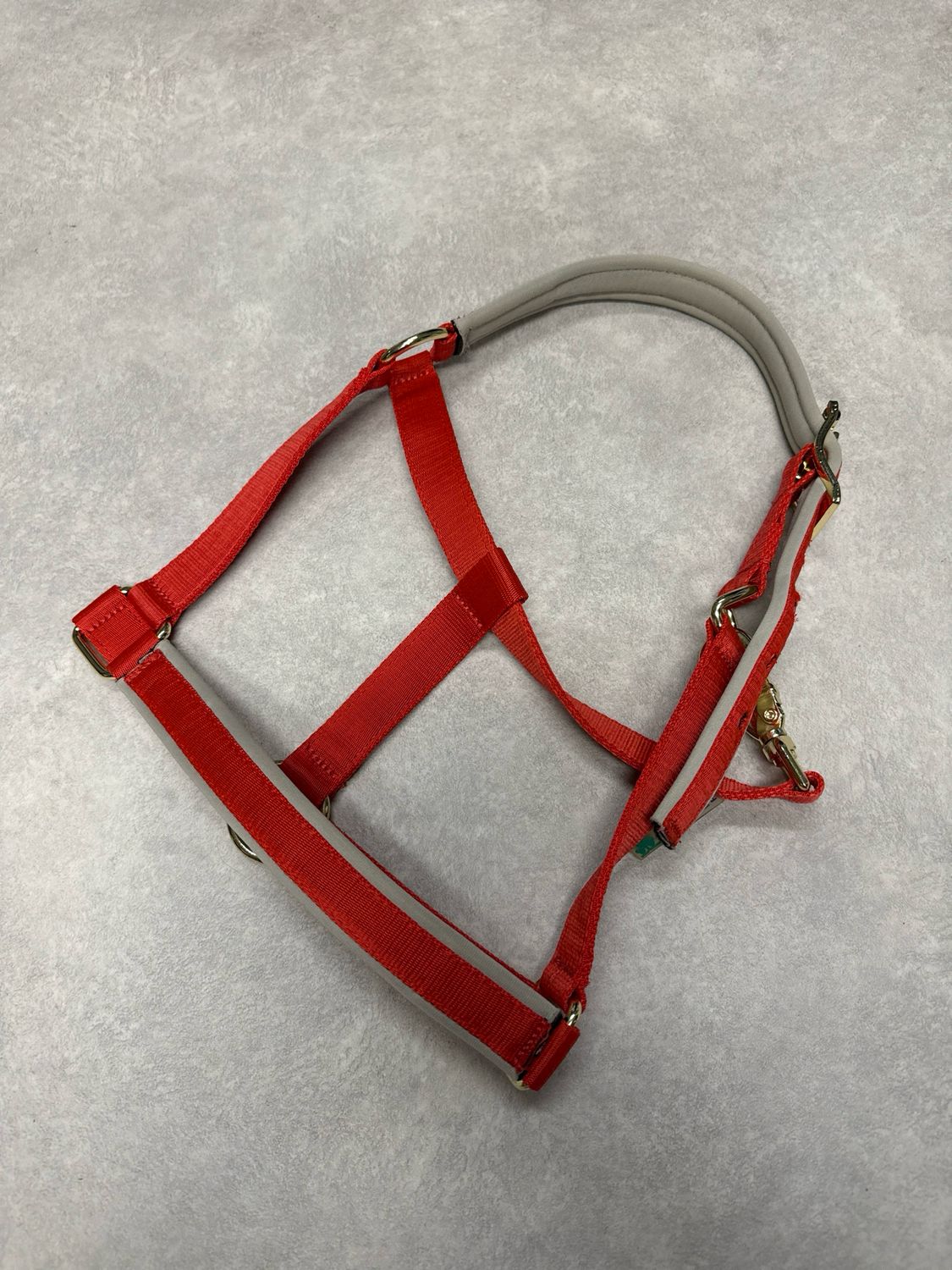 Bucas Dublin halster rood pony