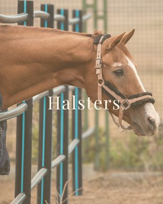 Halsters