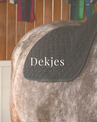 Dekjes