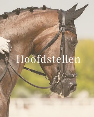 Hoofdstellen en toebehoren