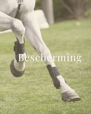 Bescherming