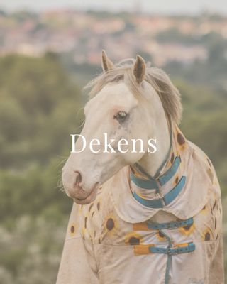 Dekens