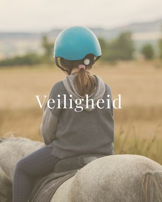 Veiligheid