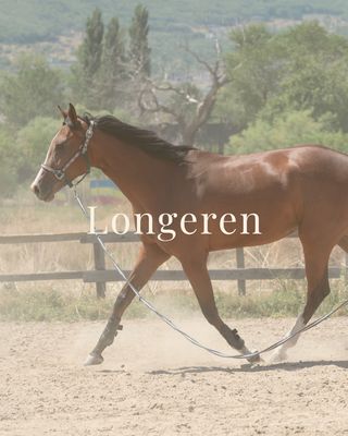 Longeren