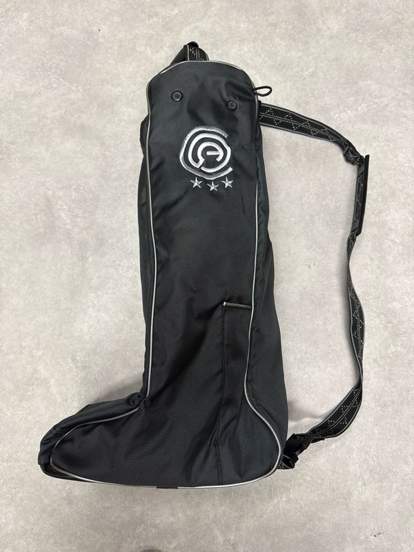 Anky Laarzentas zilver