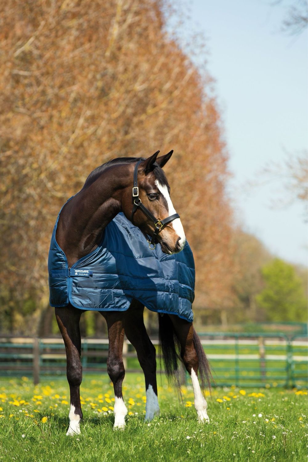 Horseware liner 300g blauw 213
