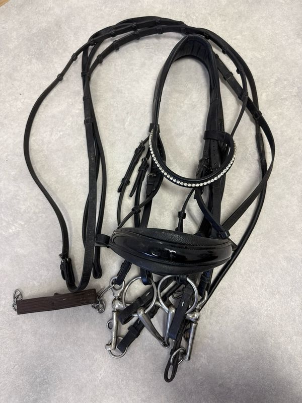 Anky stang en trens hoofdstel zwart compleet