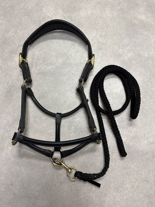 Kentucky halster zwart anatomisch cob