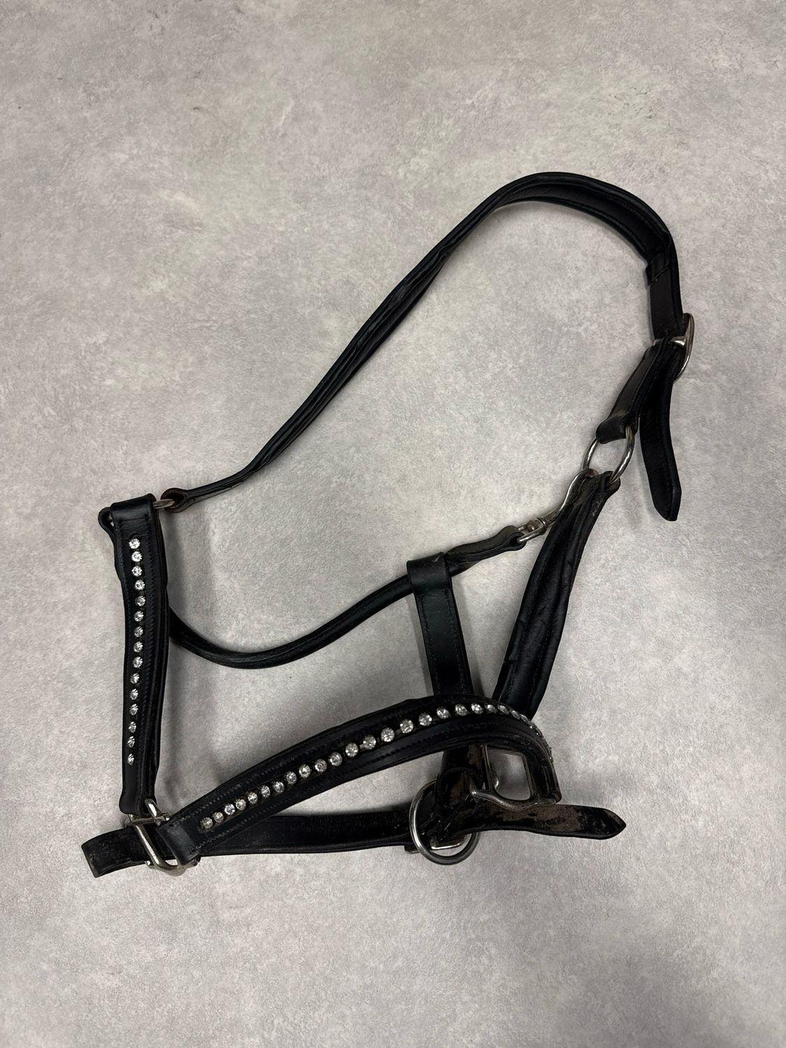 Leren halster zwart full