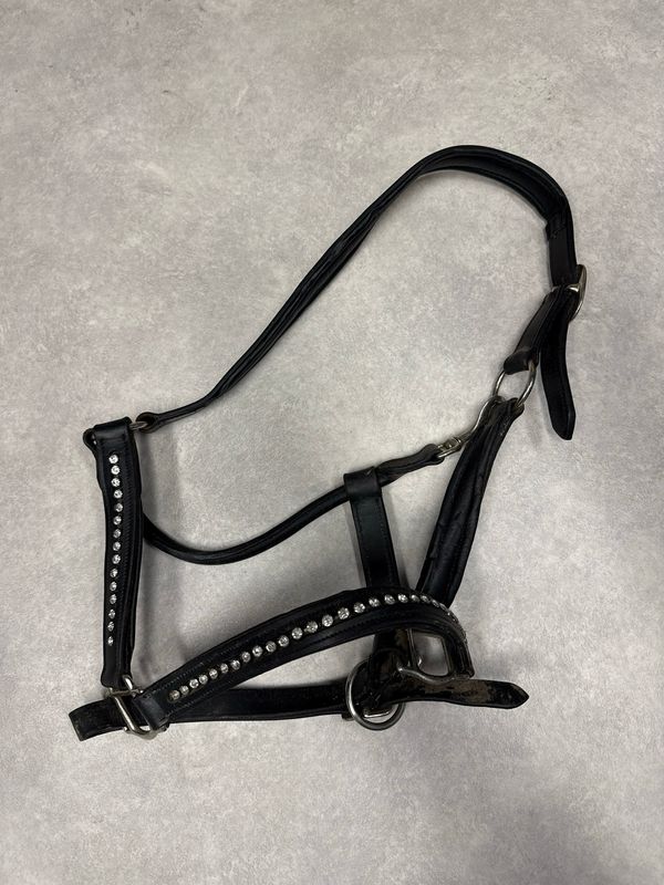 Leren halster zwart full