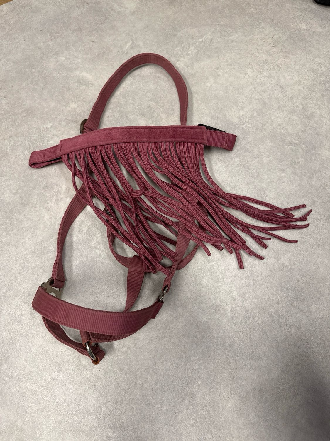 Halster met vliegenfrontriem roze pony