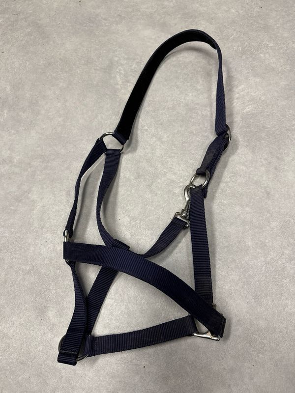 Harry’s horse halster blauw full Harry’s horse halster blauw full