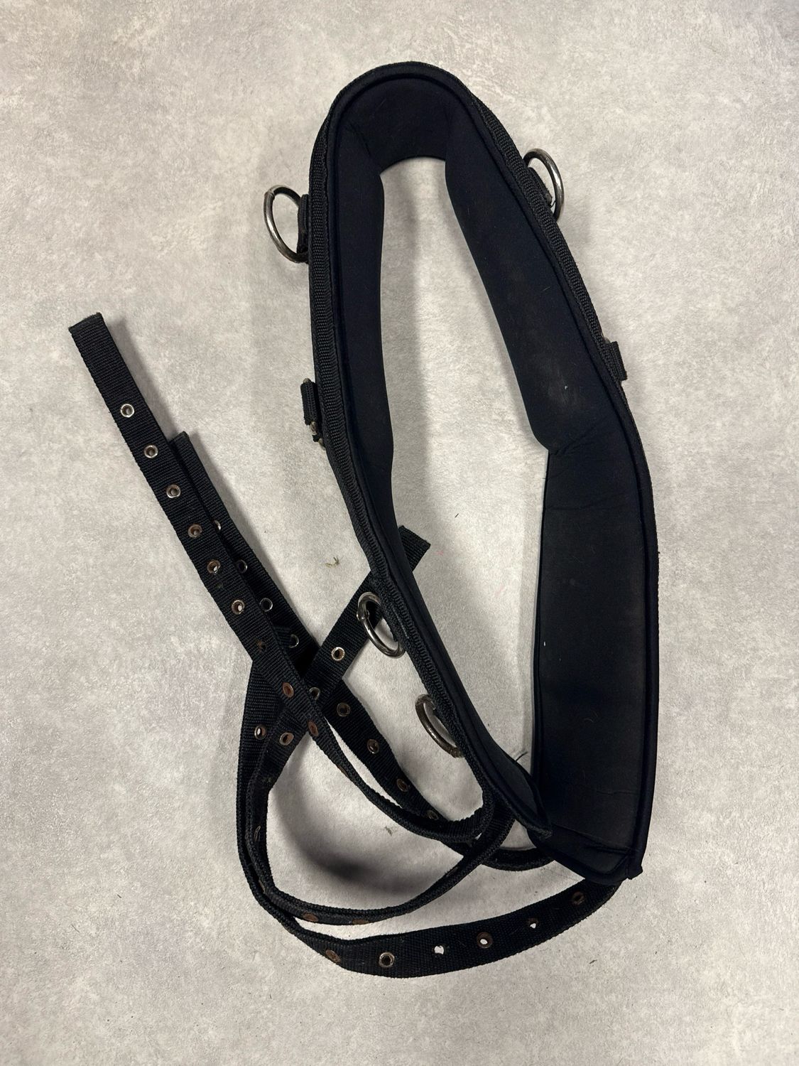 Imperial riding longeersingel zwart full