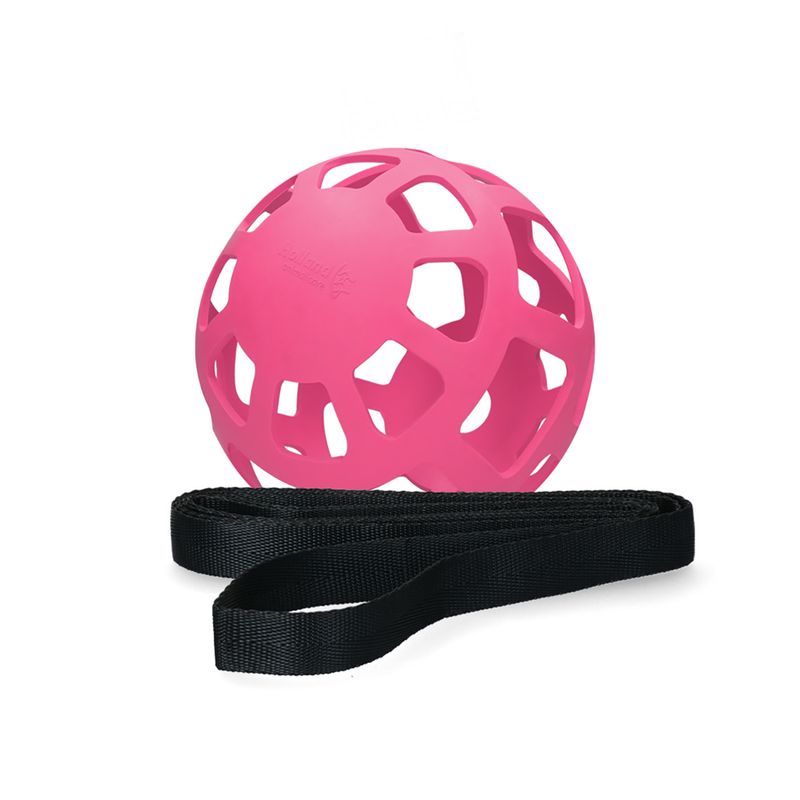 Hay feeder roze