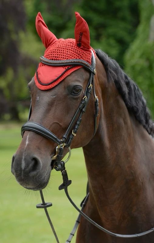 Bucas oornetje rood